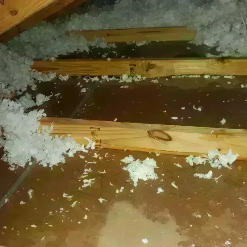 Attic Water Damage in Shawnee, KS