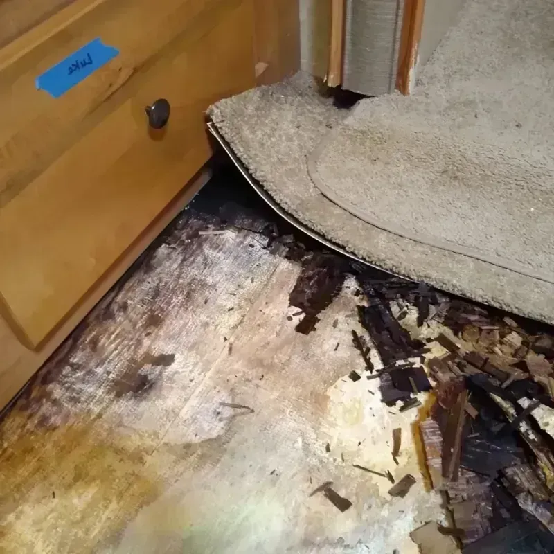 Wood Floor Water Damage in Shawnee, KS